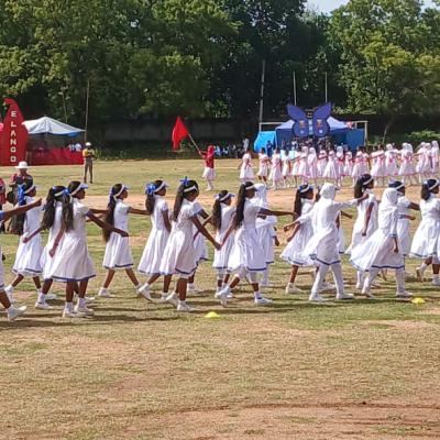 Whatsapp Image 2025 02 28 At 9.50.23 Pm